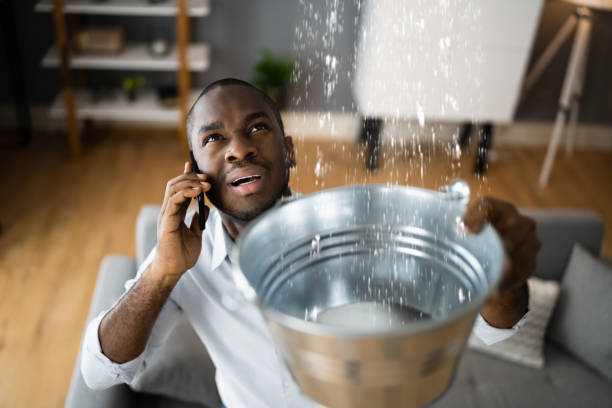 Best Water damage restoration near me  in Queensland, MD