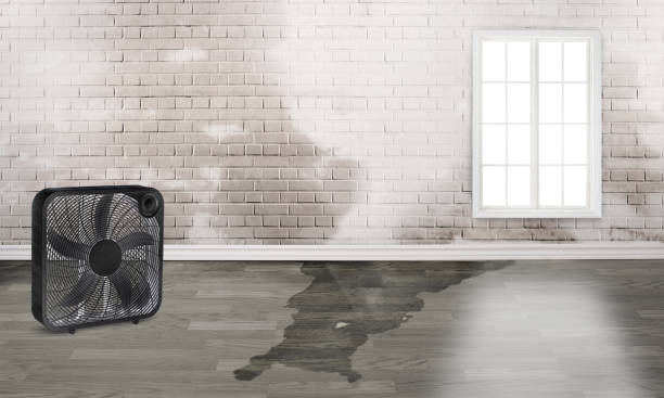 Water damage restoration experts in Queensland, MD