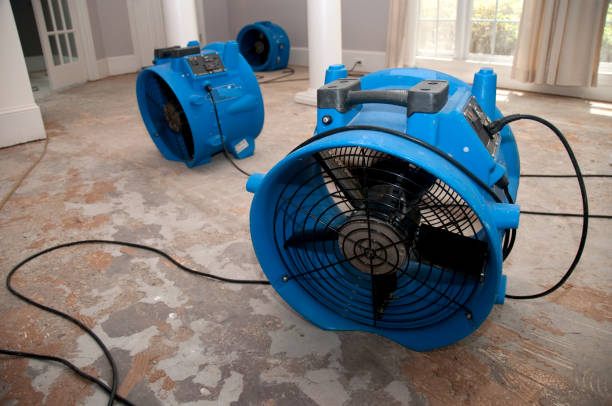 Best 24/7 water damage repair  in Queensland, MD
