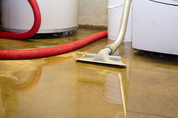 Best Local water damage restoration  in Queensland, MD