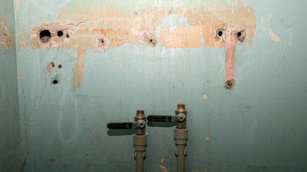 Best Ceiling water damage repair  in Queensland, MD