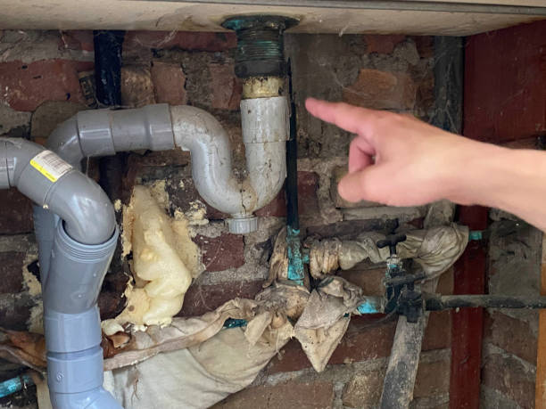 Best Water damage contractors near me  in Queensland, MD