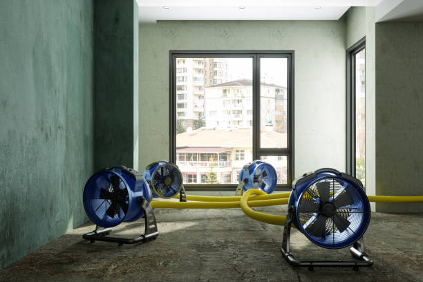 Best Water damage restoration near me  in Queensland, MD