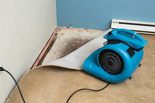 Professional Water damage restoration in Queensland, MD